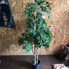 交渉中　断捨離　イケア　フェイクグリーンの画像