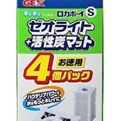 イベリアトゲイモリ　2匹の画像