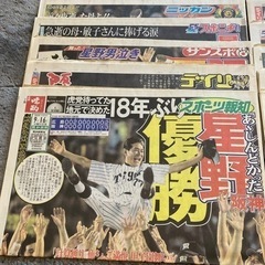 阪神タイガース優勝記念保存版11冊の画像