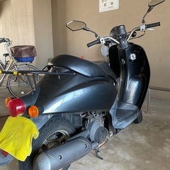 ホンダ　トゥデイ　AF61の画像