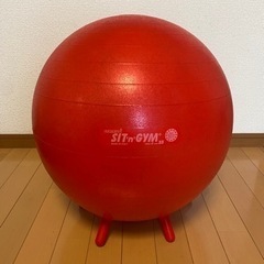 イタリア レードラプレスティック社製/ギムニクバランスボール55cm