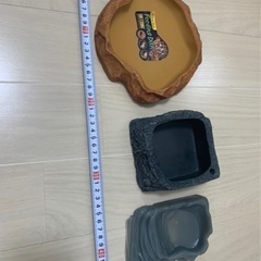 爬虫類用のエサ皿/3個セット