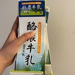 牛乳パック10個