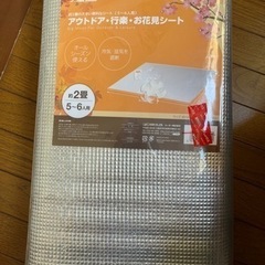 レジャーシート 
