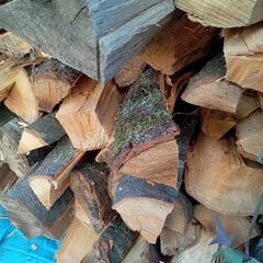 薪　キャンプ等に如何でしょうか？