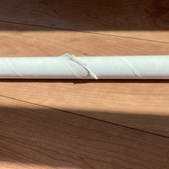 白いわんぱくジム　室内用ジャングルジムの画像
