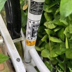 【受け渡し確定】アサヒ ミニベロ 自転車 ブライトデイ206 20インチ 6段変速 FBM206の画像