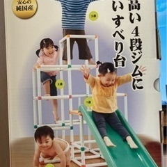 白いわんぱくジム　室内用ジャングルジムの画像
