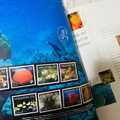 切手が入ってる本  シンガポール「THE 1994 COLLEATION OF SINGAPORE STAMPS」の画像