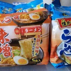 インスタントラーメン5食パック入り　20セット　