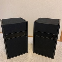 BOSE 301mm2
