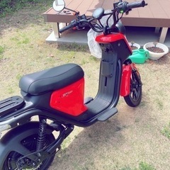 【決まりました】XEAM niu U /電動バイク/電動スクーター/レッドの画像