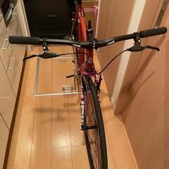 Cinelli tutto トゥット ほぼ新品 M ダイアモンド&ラスト チネリ