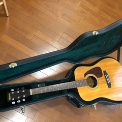 Morris アコースティックギター　MD-502の画像