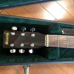 Morris アコースティックギター　MD-502の画像