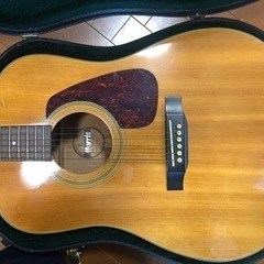Morris アコースティックギター　MD-502
