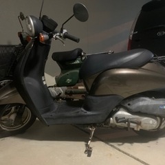スクーター  ホンダ　トゥデイ　50 原付