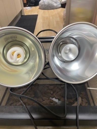 爬虫類用水槽一式