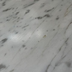 大理石　チューリップセンターテーブル　大塚家具の画像