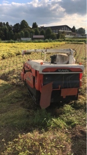 21年　鹿沼産　コシヒカリ　今季分終了　ありがとうございました