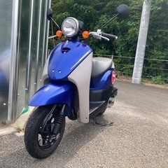 ⭐︎ホンダ⭐︎トゥデイ⭐︎丸目ライトのかわいい原付⭐︎AF67⭐...