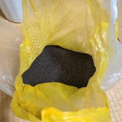 アクアリウム　ソイル　譲渡者決定