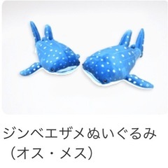 海遊館のジンベイザメぬいぐるみを変わりに買ってきて欲しいです！