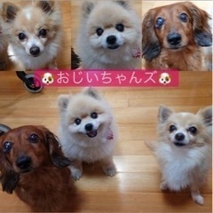 介護職員、ドライバー、夜勤専従も募集します！の画像