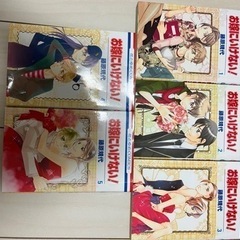 お嫁にいけない！全巻セット