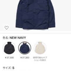 元値3万7千円　パタゴニア　イスマスパーカーの画像