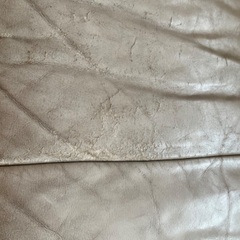 アクタスのオーダーソファーの画像