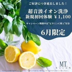 ６月限定❗️初回体験1,100円　超音波イオン洗浄にビタミンC導...