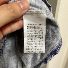 チャイハネ蝶、花柄背中あきトップスの画像