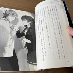 【差し上げます】インビジブルの画像