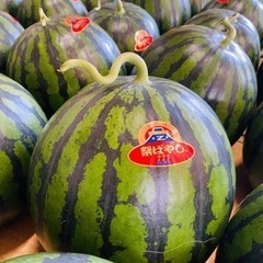 祭りばやし777🍉規格外⚠️料金改正致しました！