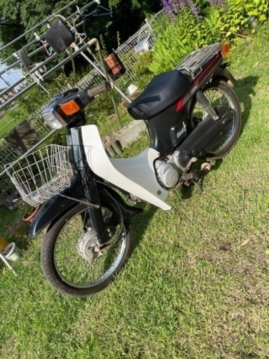 スズキ　バーディー50