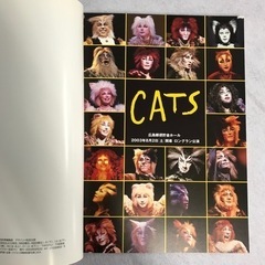 ☆値下げ☆ 2206-503 劇団四季 キャッツ パンフレット 広島郵便貯金ホール 2003年8月2日（土）開幕ロングラン公演【状態悪い】の画像