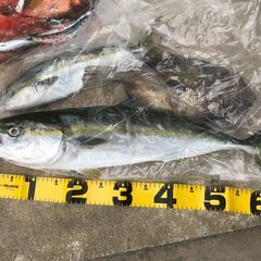 【7月末終了】釣具　ショアジギタックル　シマノの画像