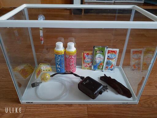 １ヶ月使用!! 20ℓの水槽