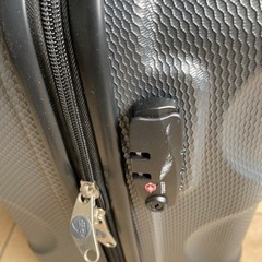 サムソナイト Samsonite カメレオン カンボラ スピナーの画像