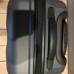 サムソナイト Samsonite カメレオン カンボラ スピナーの画像
