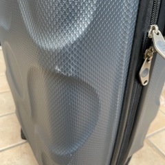 サムソナイト Samsonite カメレオン カンボラ スピナーの画像