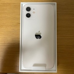 iPhone 12 64gb docomo simロック解除済み一括購入残債無し
