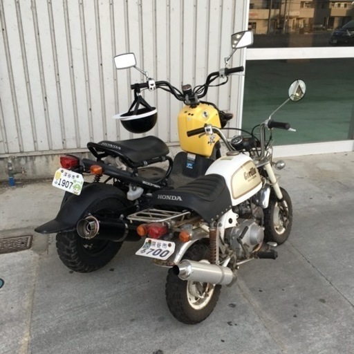 ゴリラ ホワイトスペシャル