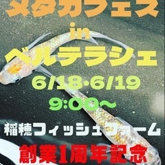 宇都宮市大谷町　ベルテラシェ大谷にてメダカフェスの画像