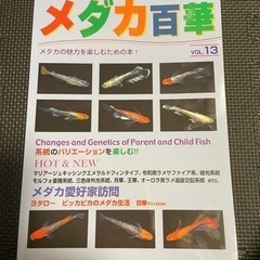 宇都宮市大谷町　ベルテラシェ大谷にてメダカフェス - 宇都宮市