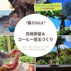 【名護】ヨガ＆蒸留、コーヒー苔玉作り体験モニター！