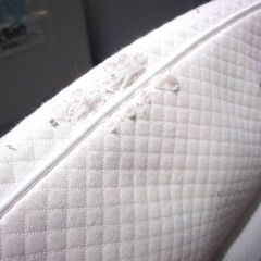 【札幌市内配送可】Combi/コンビ 電動バウンサー ロアンジュ AT RX-750 簡易ベッド 赤ちゃん用品 ベビー用品の画像