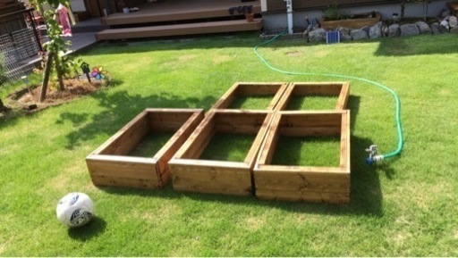 メダカ ビオトープ 水槽 トロ船