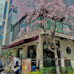 ＊＊＊【高時給】おしゃれなレストランで接客【駅近】＊＊＊の画像